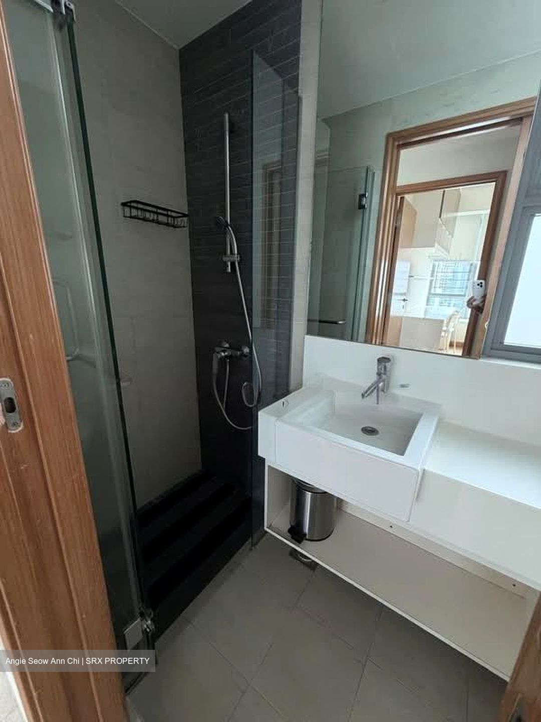 Park Infinia At Wee Nam (D11), Condominium #580907511